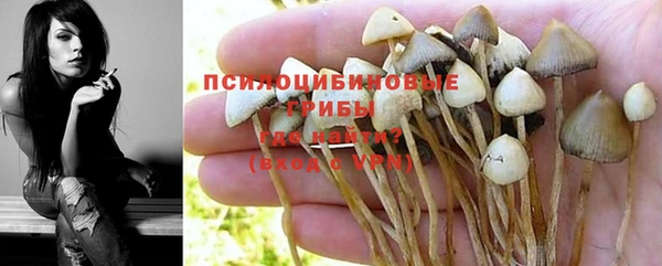 хмурый Ладушкин