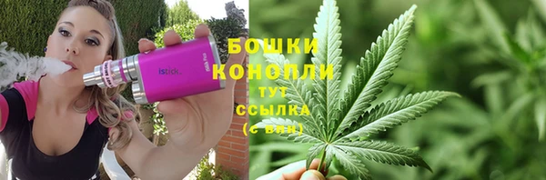 ПСИЛОЦИБИНОВЫЕ ГРИБЫ Лабытнанги