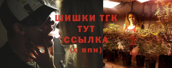 хмурый Ладушкин