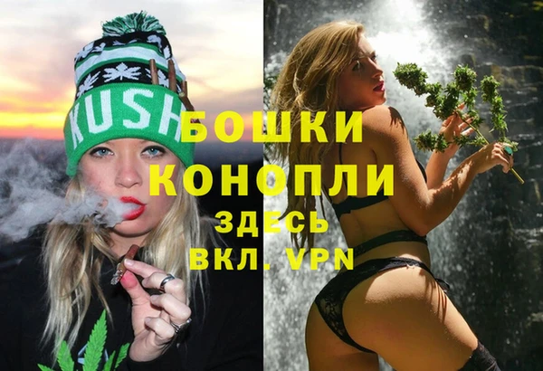 ПСИЛОЦИБИНОВЫЕ ГРИБЫ Лабытнанги