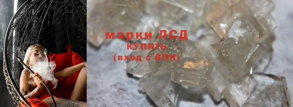 ПСИЛОЦИБИНОВЫЕ ГРИБЫ Лабытнанги