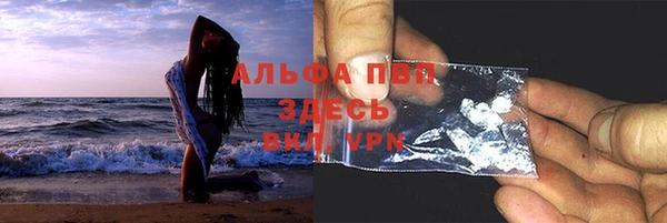 хмурый Ладушкин