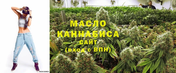 хмурый Ладушкин