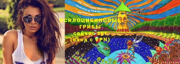 хмурый Ладушкин