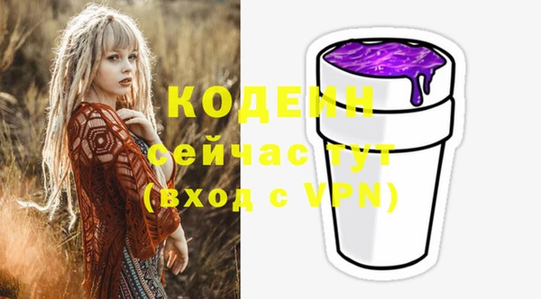 хмурый Ладушкин