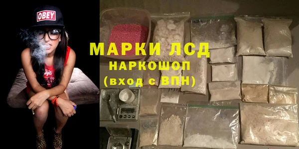 ПСИЛОЦИБИНОВЫЕ ГРИБЫ Лабытнанги
