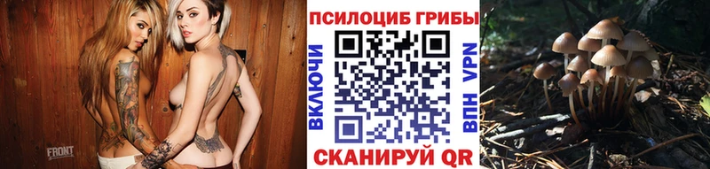 mega tor  Судогда  Псилоцибиновые грибы прущие грибы  закладка 